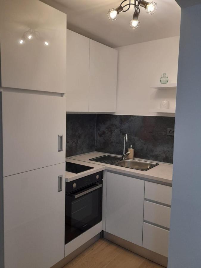 Апартаменти Apartman Sa Lodom 2+2 Пироваць Екстер'єр фото